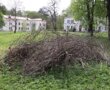 В старинном парке в Альбертине должен быть наведен порядок