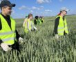 Летом можно не только отдохнуть, но и заработать