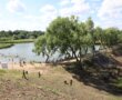 Слоним отметит День Независимости масштабной военно-исторической реконструкцией